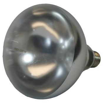 HL-BULB-CL