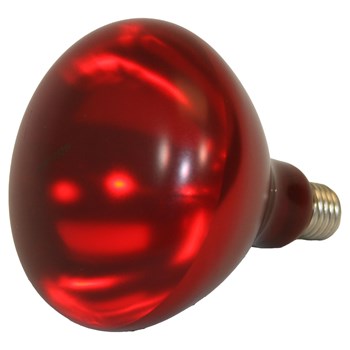 HL-BULB-RED